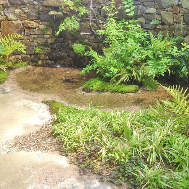 シダと石組みの中に水のながれる清流がある庭のイメージ