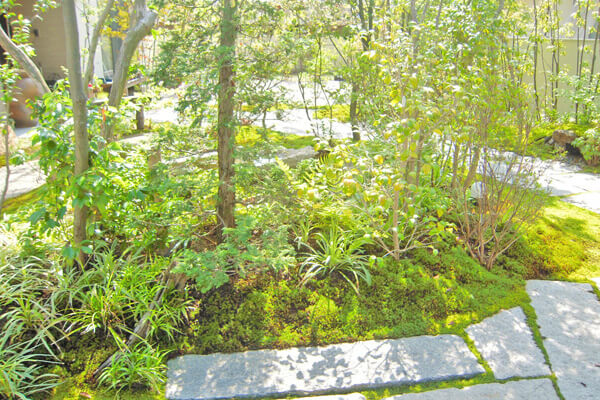 草木の自然にあふれた石畳の庭