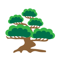 松の木のイメージ