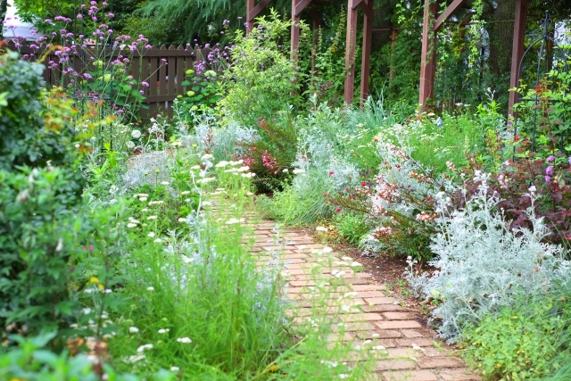 イングリッシュガーデンの庭づくりとおすすめの植物は 庭のプロ集団 庭 Pro