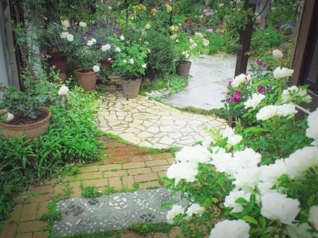 シェードガーデンの庭づくり 日陰に強いおすすめの植物 庭のプロ集団 庭 Pro