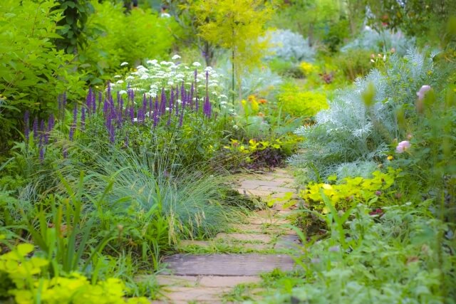 シェードガーデン の庭づくり 日陰に強いおすすめの植物を紹介 庭のプロ集団 庭 Pro