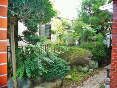 埼玉県吉川市の、生い茂る庭木や大小様々な庭石が混在するお庭の一角