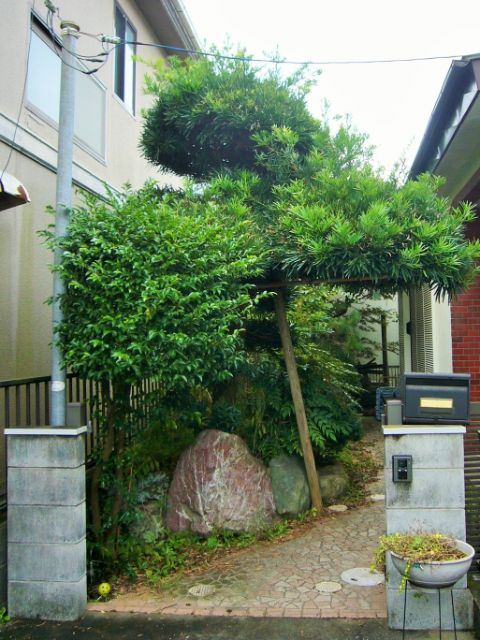 埼玉県吉川市にある伐採・伐根、庭石撤去の施工前のお庭