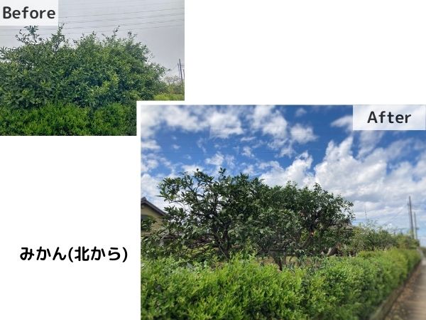 kasukabe-Before-After-1