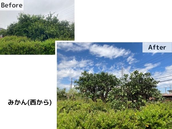 kasukabe-Before-After-2