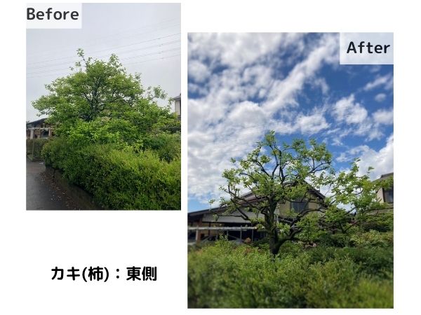 kasukabe-Before-After-4