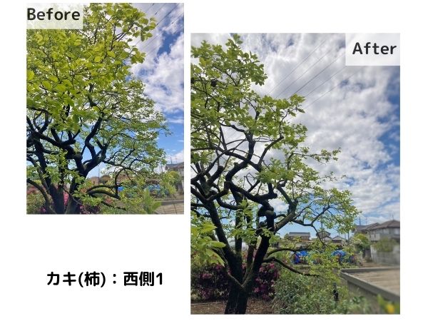 kasukabe-Before-After-6