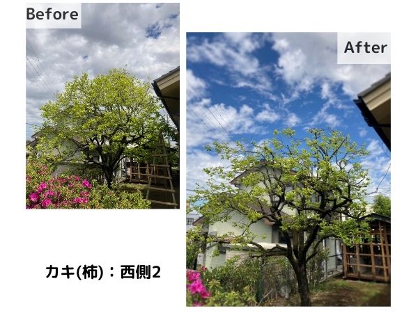 kasukabe-Before-After-8