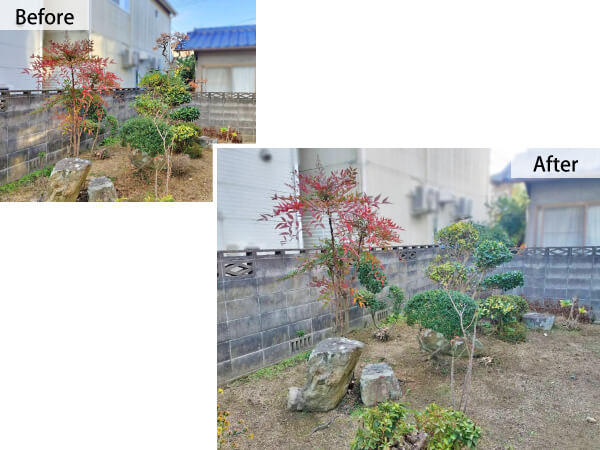 202312pruning_before-after2